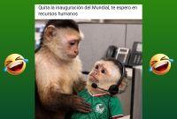 Memes previos al Mundial 2026.