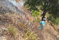 Habitantes de Yutazani Copala y El Manzanal combaten las llamas sin respaldo institucional.