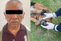 UEIDCA y la Procuraduría de Hidalgo investigan grave caso de maltrato animal en Colinas de Plata.