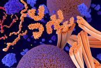 ¿Pueden las luces parpadeantes y el sonido retrasar el Alzheimer? Foto Canva