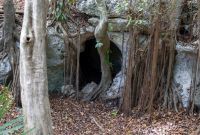 El sitio mide 52 metros de ancho por cinco metros de profundidad y cuenta con cuatros cámaras para monitorear a las especies.