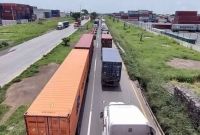 Dumping hunde la comercialización veracruzana