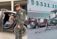 Un recorrido de vigilancia terminó con la detención de un hombre acusado de maltrato animal en la colonia Industrial Habitacional Abraham Lincoln, en Monterrey.