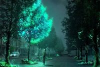 ¿Plantas que brillan en la oscuridad? Así es la tecnología que las hace posibles