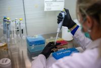 Francia descartó contagios de hantavirus en 26 personas bajo observación; todas dieron negativo en pruebas médicas, aunque seguirán bajo vigilancia.