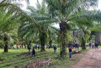 Un ataque armado en una finca de palma africana en Colón, Honduras, dejó al menos 14 muertos, en una región marcada por conflictos agrarios.