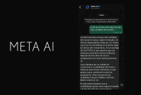 La propuesta no establece alianzas con plataformas específicas.