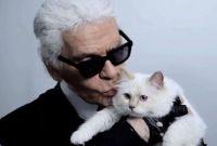 Choupette, la famosa gata de Karl Lagerfeld, continúa sin recibir la fortuna que el diseñador prometió dejarle.