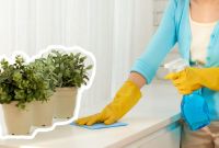 Plantas que te ayudan reducir el polvo