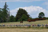 Tour de Francia 2026: Etapa 11, ¿para qué perfil de ciclistas es ideal?