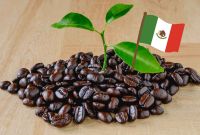 Tipos de café en México