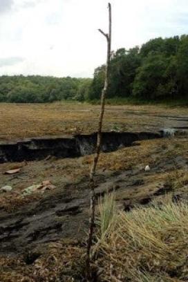 La bióloga Suny, de la empresa Cocodrilia, señaló que la laguna subía y bajaba de nivel dependiendo de la temporada de lluvia o de sequía, sin embargo, nunca había quedado tan seca como ocurrió este martes. Foto: Fátima Vázquez/ Corresponsal