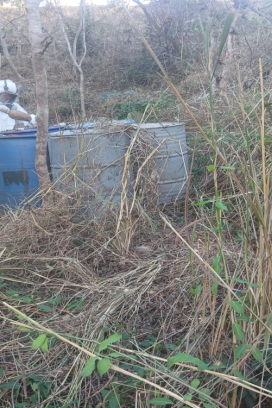 Operativo en Sinaloa