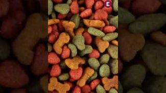 Comida para perros es retirada del mercado tras detectarse plástico