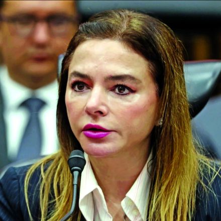 Nosotros solamente somos responsables de la organización de la elección para renovar la Cámara de Diputados. Las autoridades locales son las que deben determinar si existe un acto anticipado de precampaña.” Carla Humphrey, Consejera del INE