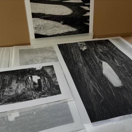 'La piel de la memoria': Wolfgang H. Scholz expone en Galería Realia en Xalapa