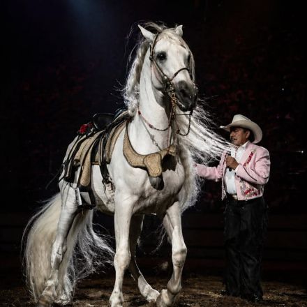 Foto: Instagram joansebastian