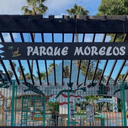 El Ayuntamiento de Tijuana decidió cerrar la Unidad de Manejo para la Conservación de la Vida Silvestre del Parque Morelos.