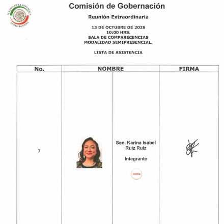La legisladora Karina Ruiz se hizo presente vía remota en las sesiones de las comisiones de Gobernación y Estudios Legislativos Primera