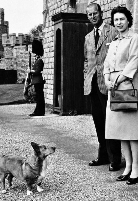 La reina llegó a llevar a Susan durante su luna de miel con el príncipe Felipe en 1947.