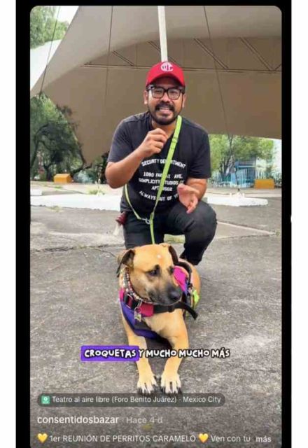 Primera reunión de perritos caramelo en CDMX
