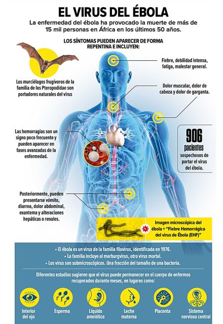 Infografía sobre el virus del ébola.