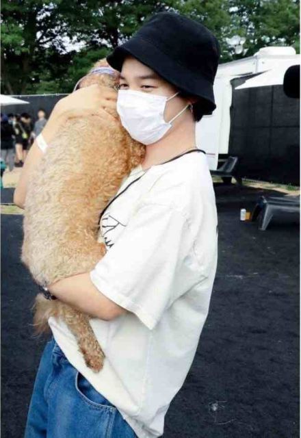Perro de apoyo emocional de BTS