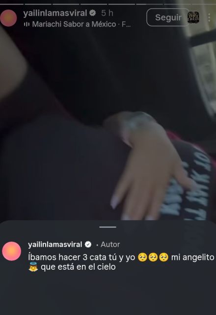 Foto: Captura Instagram yailinlamasviral