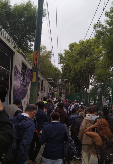 El Servicio de Transportes Eléctricos (STE) reportó a las 07:47 horas que un cable se había roto