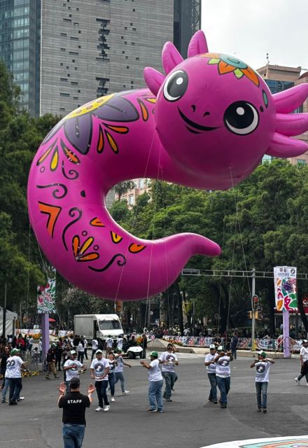 En la escalinatas del Ángel de la Independencia armaron el karaoke; cientos de voces hicieron retumbar El Rey y Cielito Lindo