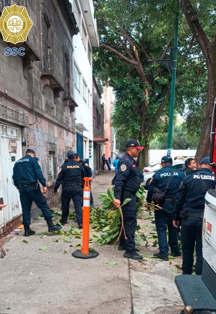Entre la noche del lunes y la madrugada de este martes se atendieron 49 árboles caídos, así como un poste derribado
