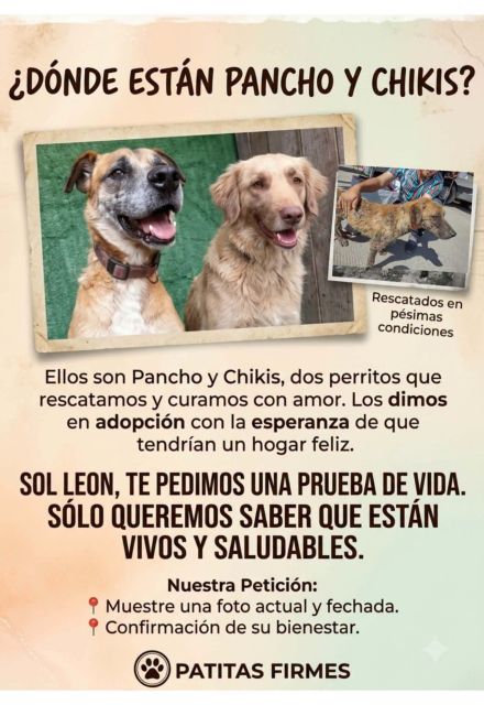 Foto: Redes Sociales