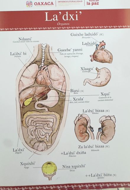 Cortesía SIPSIA