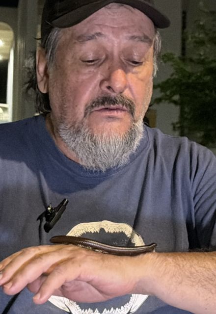 El profesor e investigador Alf Meling López, del Centro de Investigaciones Científicas y Tecnológicas de la Universidad de Sonora, tiene especialidad en animales venenosos y aseguró que el clima en el país ayuda a incrementar las poblaciones.