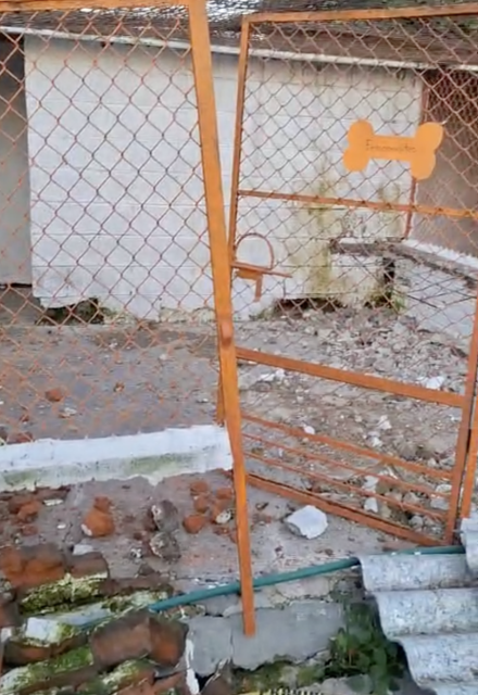 La organización acusó a la Fundación Haghenbeck de enviar a un grupo de más de 20 personas armada.