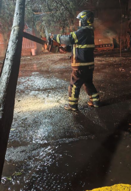 El Heroico Cuerpo de Bomberos atendió diversas emergencias relacionadas con árboles y ramas derribadas