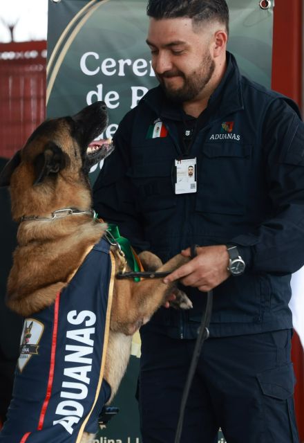 CIUDAD DE MÉXICO, 06 DE AGOSTO DE 2026. DURANTE LA CEREMONIA DE RETIRO DE OSLO, OWEN, NIXON, BOSCO PERROS DETECTORES DE ADUANA DEL AICM.