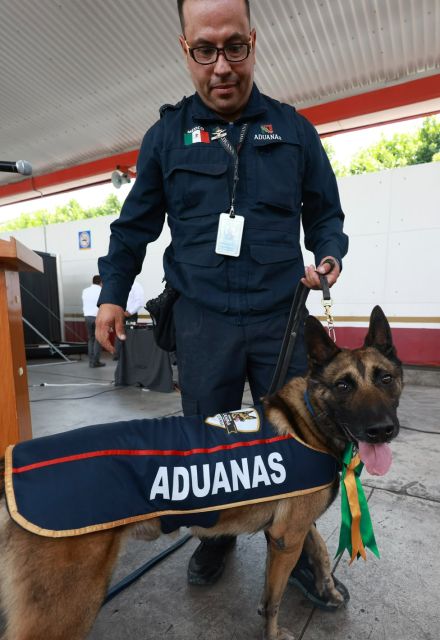 CIUDAD DE MÉXICO, 06 DE AGOSTO DE 2026. DURANTE LA CEREMONIA DE RETIRO DE OSLO, OWEN, NIXON, BOSCO PERROS DETECTORES DE ADUANA DEL AICM.