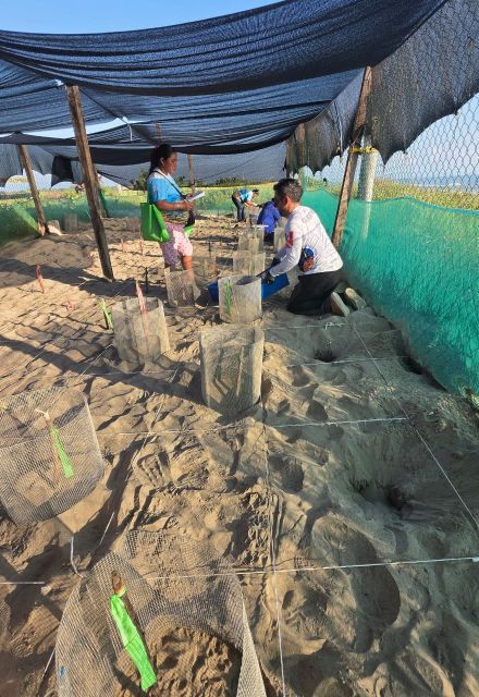 El Santuario Playas del Totonacapan es un ANP del estado de Veracruz ubicada en los municipios de Cazones de Herrera, Papantla y Tecolutla.