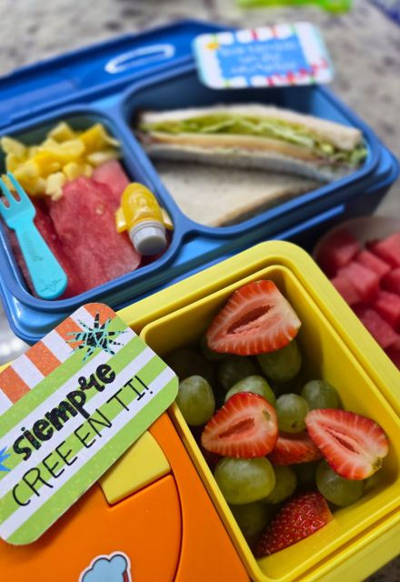 Lunch escolar para el regreso a clases: 8 tips para prepararlo bonito, práctico y seguro