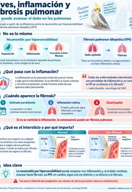 Las aves podrían causar inflamación en tus pulmones