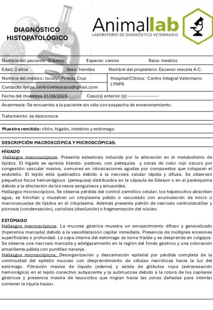 El diagnóstico fue intoxicación aguda por fosfuros (Zinc/Aluminio), químico utilizado habitualmente para el control de plagas agrícolas.