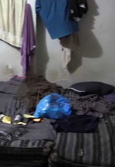 Cochones encontrados en la finca en Tecalitlán, al sur de Jalisco