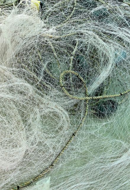 Estas artes de pesca tradicionales aparecieron de nueva cuenta en las autorizaciones.