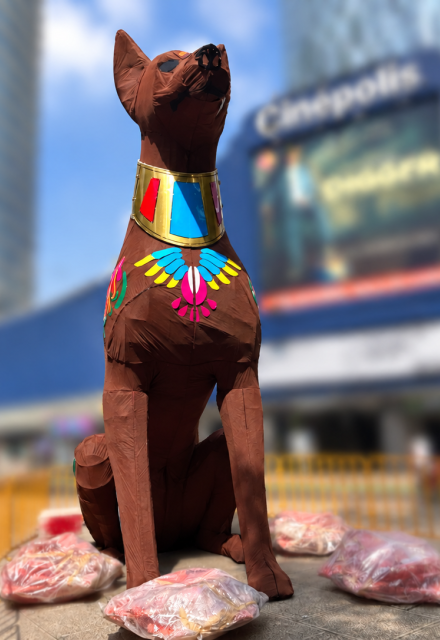 Así los xoloitzcuintles en CDMX