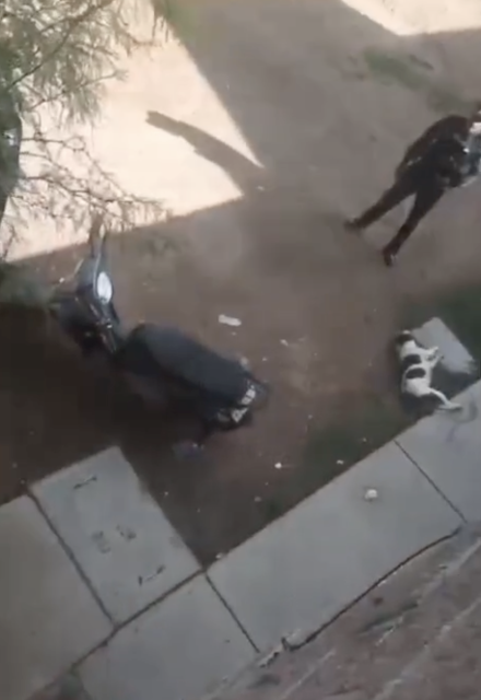 En grabaciones se escucha a Guicho reclamar que estaba dentro de su casa al momento de la detonación y que la perra solo ladraba sin agredir a nadie.
