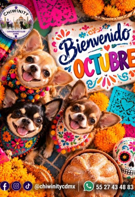 Chiwinity 2026 celebra el Día de Muertos con tu perrito chihuahua en CdMx