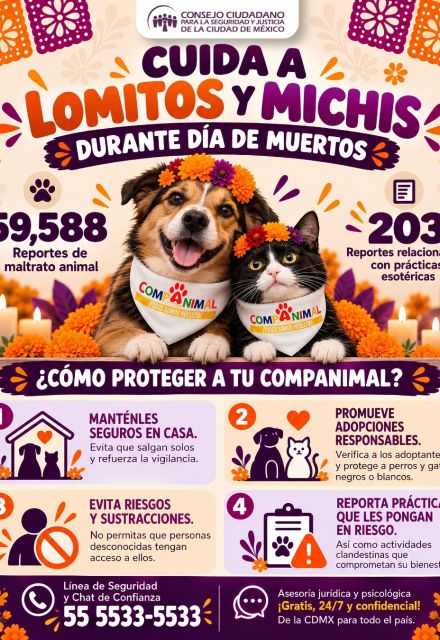 Denuncia casos de maltrato animal