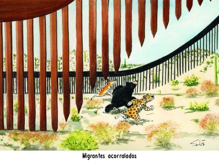 Cartoon Solís 19 de mayo del 2026