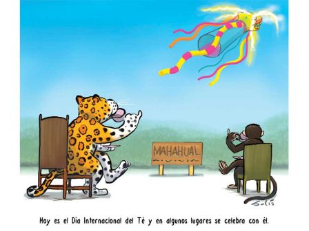 Cartoon Solís 21 de Mayo del 2026.